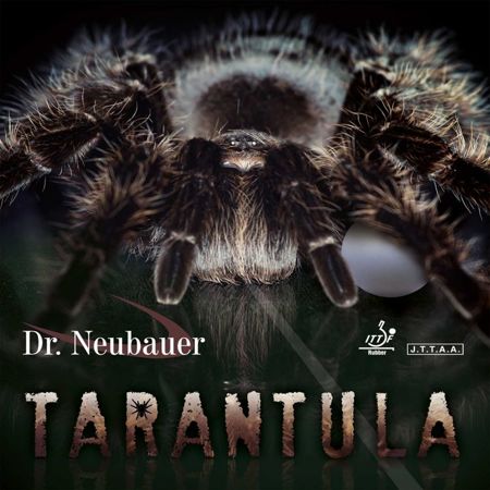 DR NEUBAUER Tarantula black