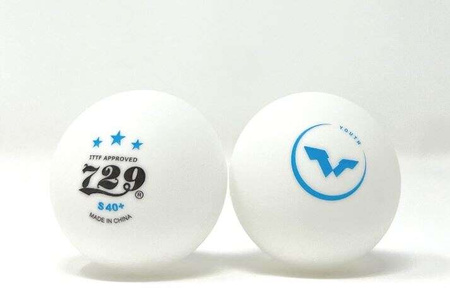 plastic balls FRIENDSHIP 729 *** S40+ WTT Youth Edition (seamless) 6 pcs.
