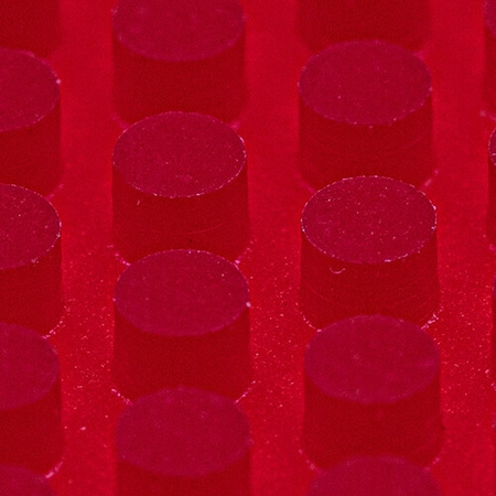 Pips-out Short DER MATERIALSPEZIALIST Wildfire red