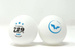plastic balls FRIENDSHIP 729 *** S40+ WTT Youth Edition (seamless) 6 pcs.