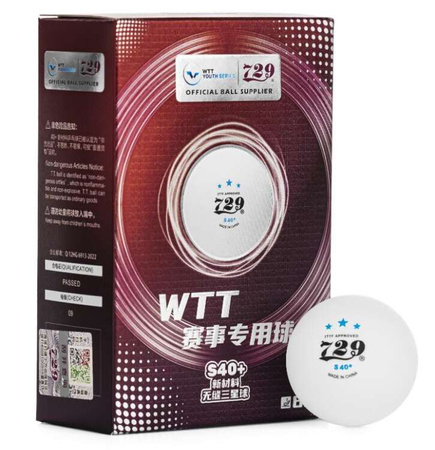 plastic balls FRIENDSHIP 729 *** S40+ WTT Youth Edition (seamless) 6 pcs.