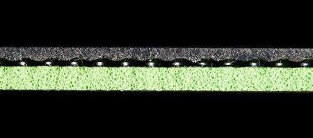 Pips-in ANDRO Rasanter C48 black