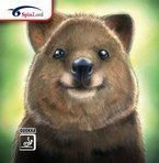 SPINLORD Quokka red