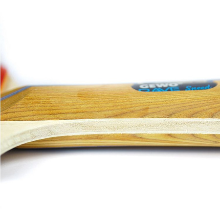 Racket GEWO Rave Speed