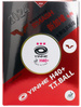 plastic balls YINHE H40+ 3*** WTT ITTF (seam) 6 pcs white