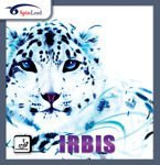 Pips-in SPINLORD Irbis black