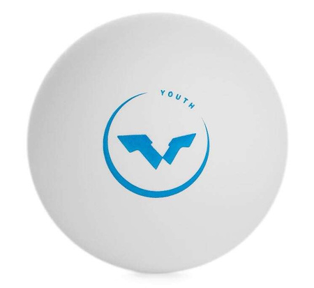 plastic balls FRIENDSHIP 729 *** S40+ WTT Youth Edition (seamless) 6 pcs.